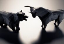 Ayı ve Boğa Piyasası Nedir? Temel Farklar ve Yatırım Stratejileri boga ayi piyasasi