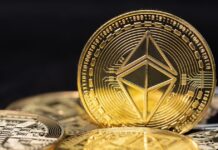Spot Bitcoin ve Ether ETF’lerine Yatırımcı İlgisi Artıyor Ethereum'da Petra Güncellemesi Öncesi Kritik Süreç