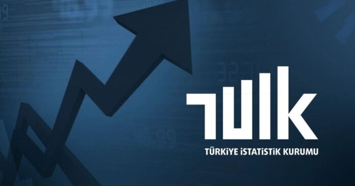 TUIK 1.jpg