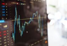 Portföy Nedir? Yatırım portföyü örnek görselle anlatım